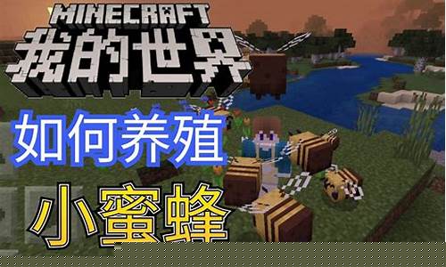 我的世界怎么捉蜜蜂_我的世界如何捉蜜蜂