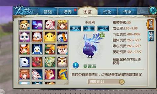 梦幻诛仙宠物技能_梦幻诛仙宠物技能大全