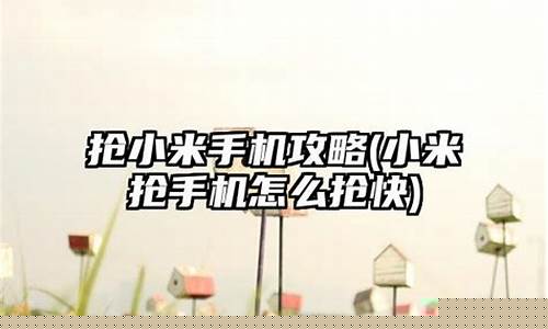 抢小米手机攻略_抢小米手机攻略2017