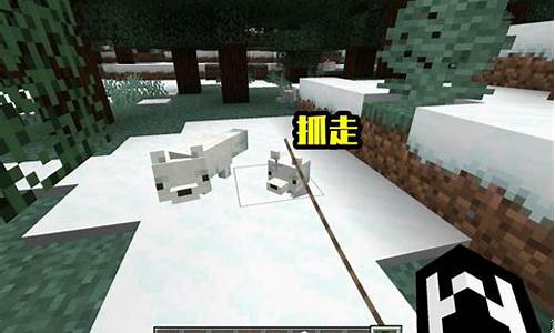 我的世界驯服狐狸用什么_我的世界驯服狐狸要多久