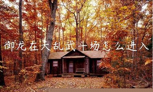 御龙在天武勋上限_御龙在天乱武斗场