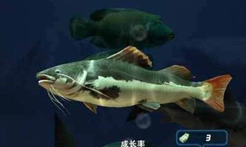 钓鱼发烧友互动吧_钓鱼发烧友攻略最新