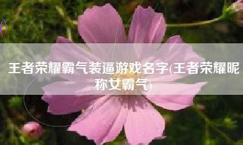 王者荣耀昵称女霸气蔡文姬名字_王者荣耀昵称女霸气蔡文姬