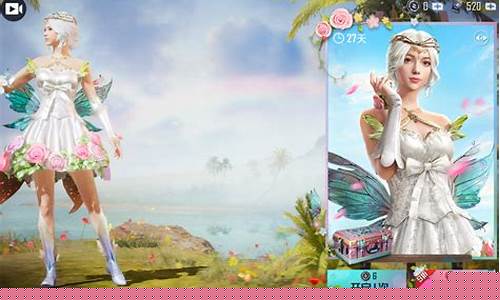 和平精英女生_和平精英胸罩最大的衣服